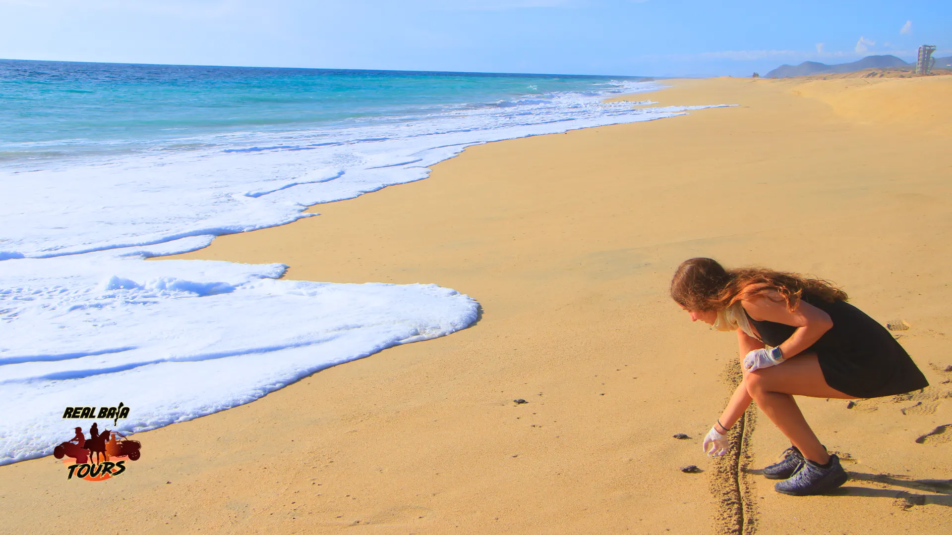 Real Baja Tours releasing a sea turtle hatchling on the beach in Cabo San Lucas
